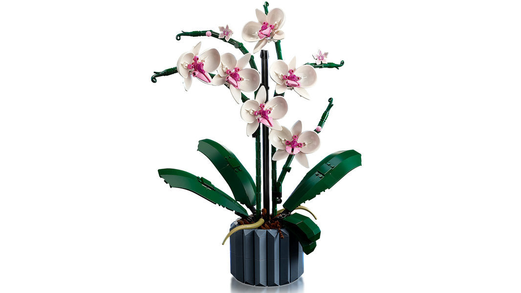 LEGO 10311 Orchid