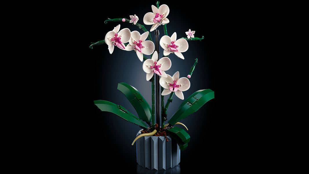 LEGO 10311 Orchid