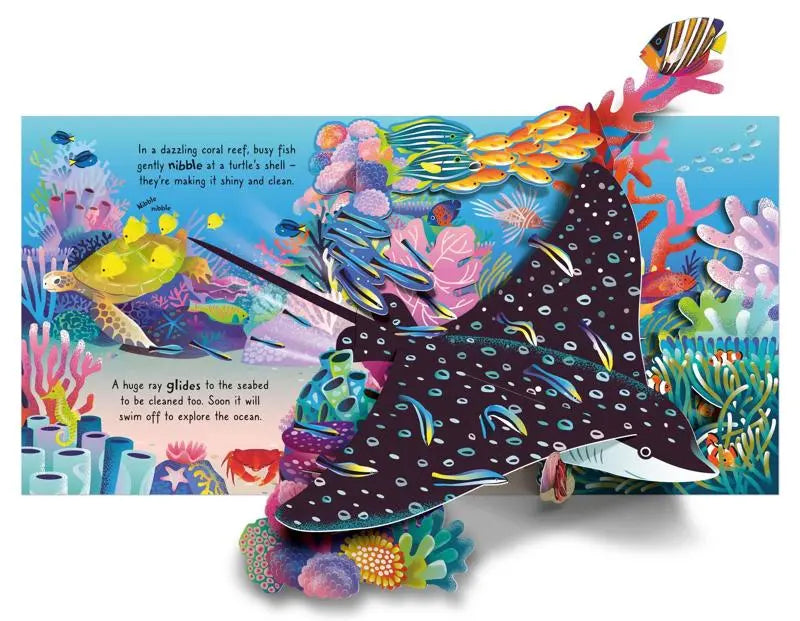 Usborne Pop-Up Ocean Book