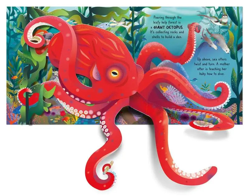 Usborne Pop-Up Ocean Book