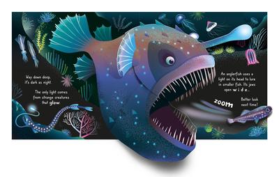 Usborne Pop-Up Ocean Book