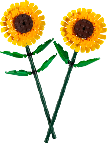 LEGO 40524 Creator Sunflowers