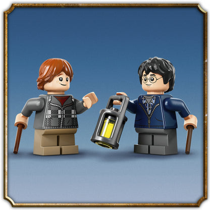 LEGO 76434 Harry Potter Aragog Forest